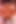 Ateşli orta yaşlı seksi kadın büyük siyah yarağı götüne sokuyor ve her santimini seviyor