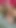 Submissive trans schoolgirl, huge big cock and venoza, I masturbate under my skirt, dirty bitch, submissive, school | Clip 1