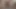 Seksi Müslüman kız ilk kez döl veriyor