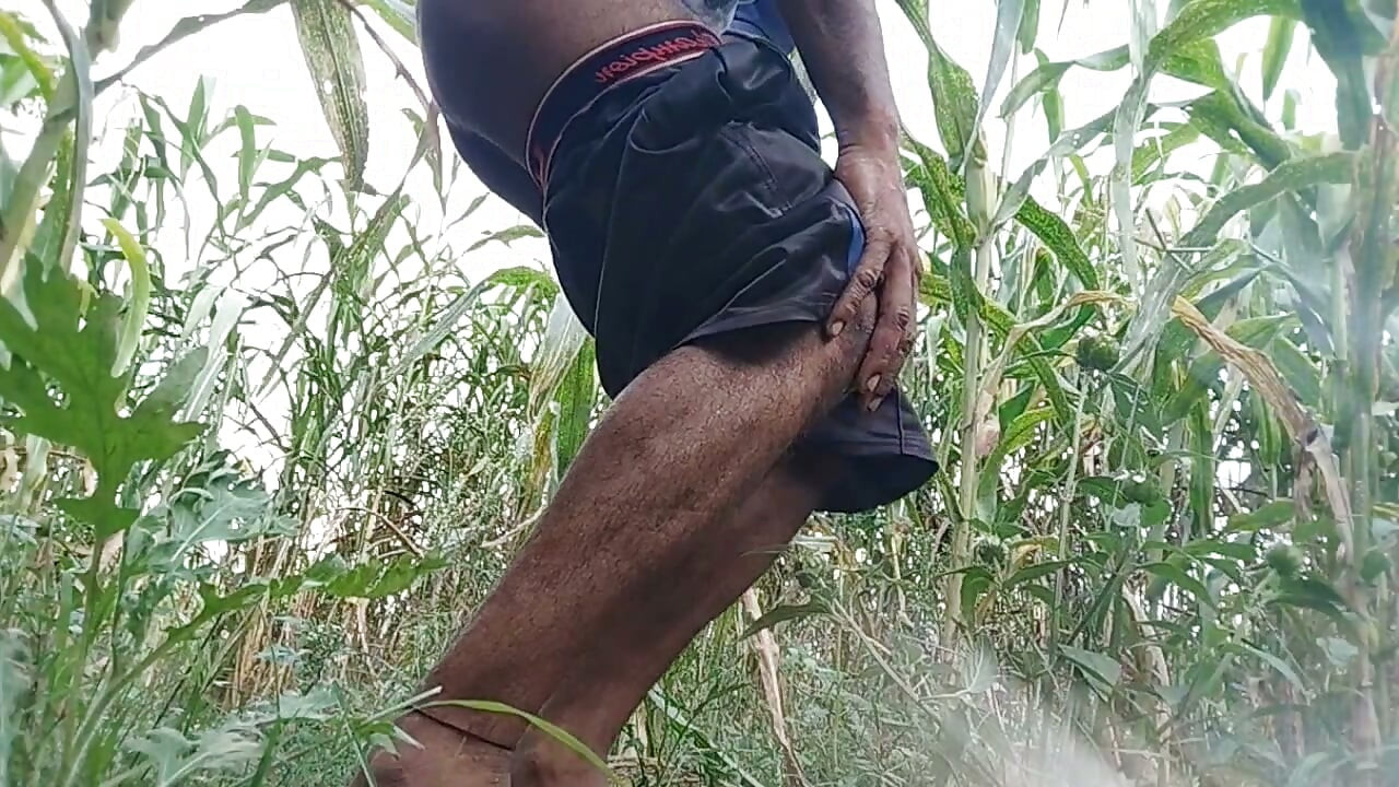Indian Shemale very Black Big Cock