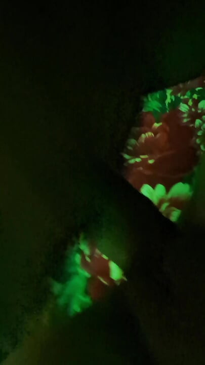 Getting to know GF with water coming in at night