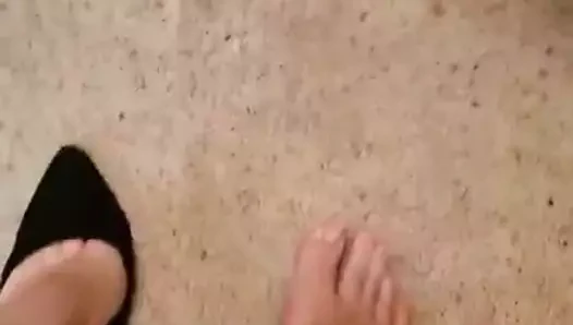 4445