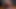 Futa Jinx and Lulu Animation with Sound
