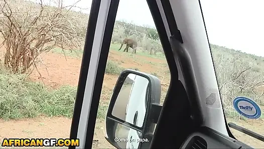 Pacar kulit hitamku bertindak polos saat safari... Akhirnya memohon air maniku setelah itu