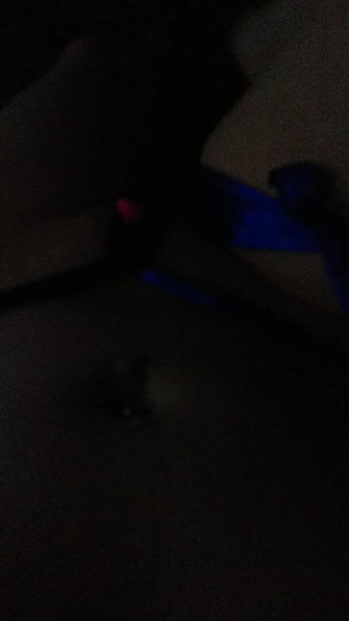 taped body with lush3