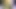 GoldenGoddessXXX