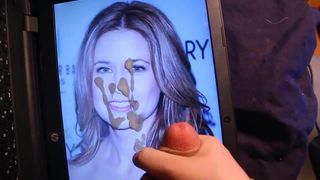 Трибьют спермы для Jenna Fischer (камшот на лицо)