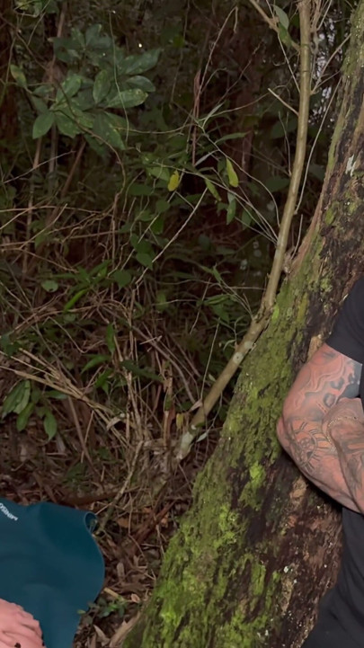 Eu sou pego fazendo yoga na floresta, estranhos perturbados e temos um ménage à trois! - Rauls Bud e Bady Bud