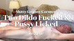 Pregled videozapisa