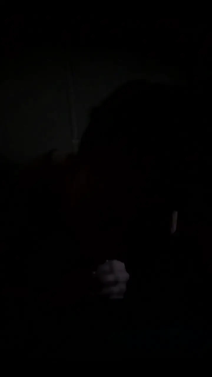 Yummy Nightly Nut