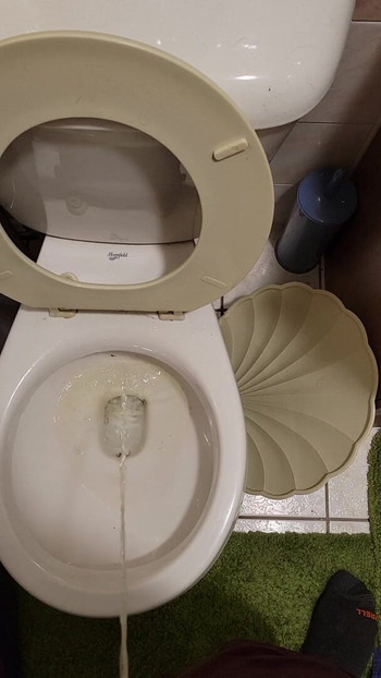 new apartment toilet piss