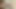 Ex Girlfriend Cum Tribute