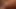 finger fuck,dildo fucking, ate cunt, & getting fucked