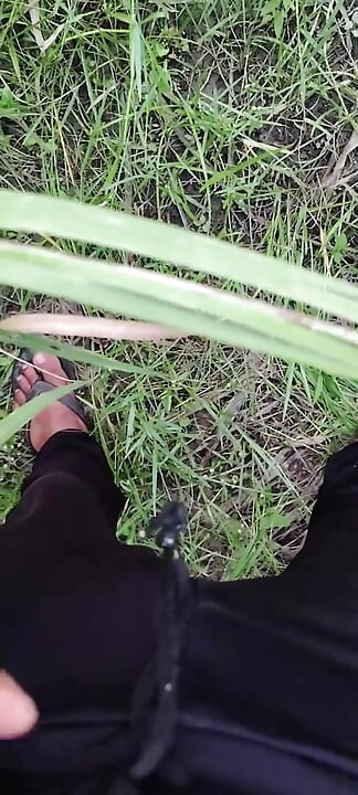 Masturbating in the Sugarcane Field