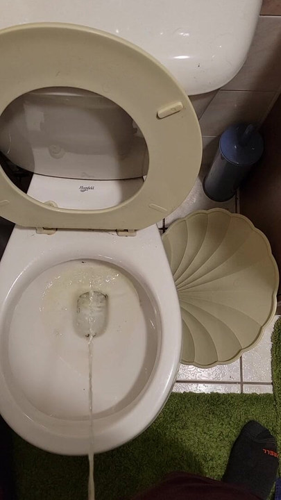 new apartment toilet piss