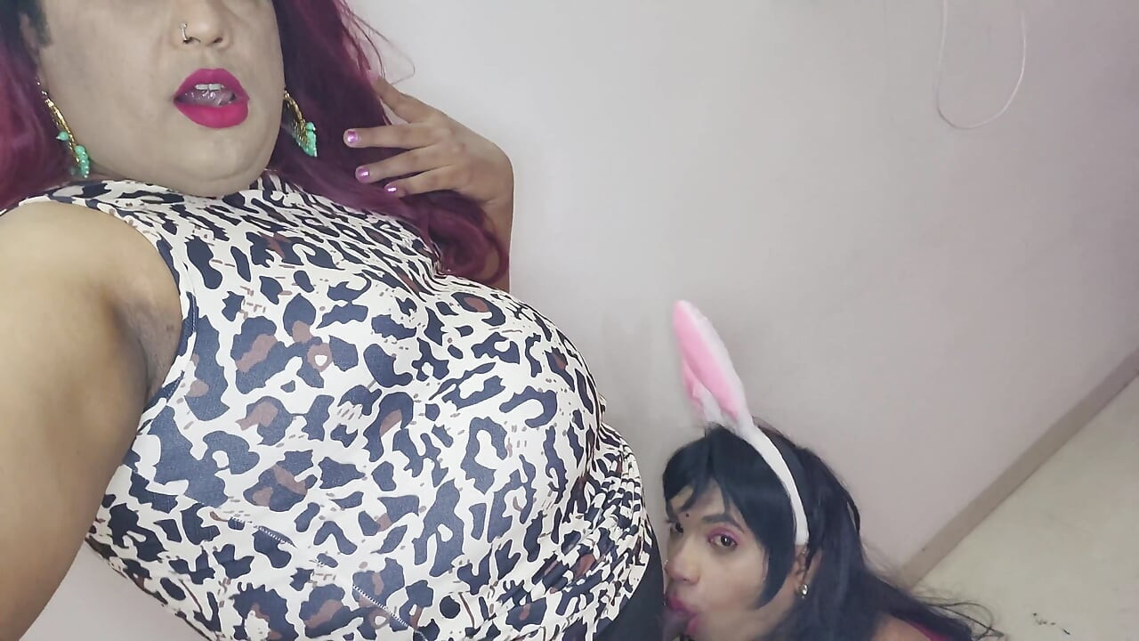 Play with My Pet Evolved Fights