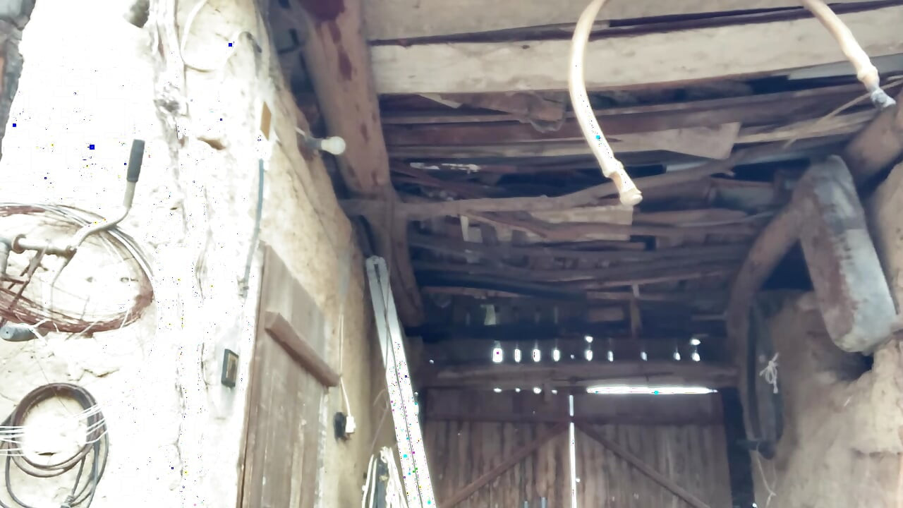 Perfekt dag för stora tuttar