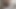 فقدت الأخت غير الشقيقة الساخنة ثقوبها الحلوة في لعبة الورق