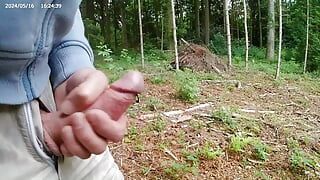 Masturberen in het bos