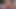 DANA VESPOLI LESBIAN ASS WORSHIP 1 (Full Movie)