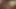Give someone the content number in the comment box.
