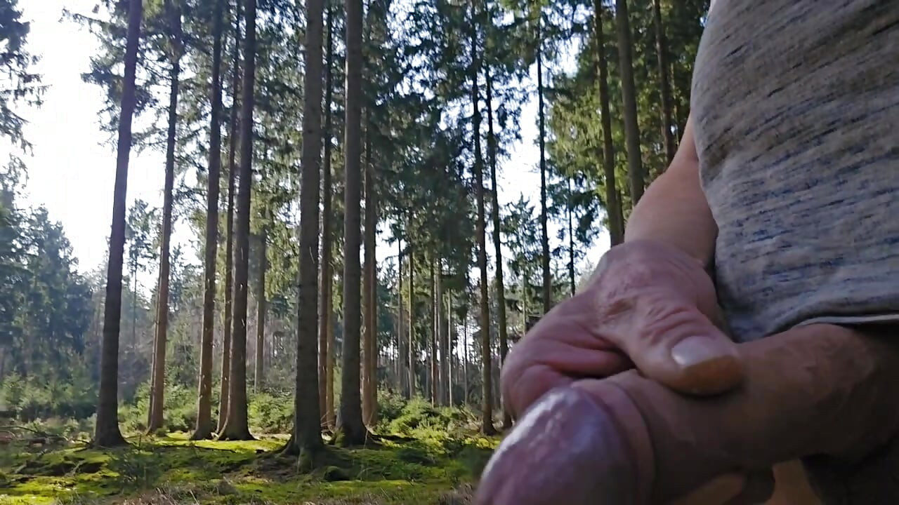 Pissing everywhere, in the forest, on the sofa, in the sink