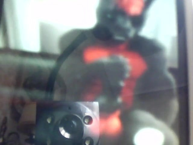 furry