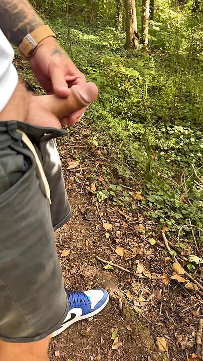 Plimbare prin pădure