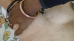 Pratinjau video