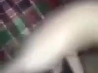 Une chatte poilue puante se masturbe