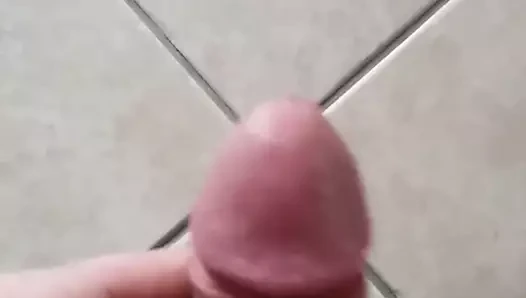 Sborrata