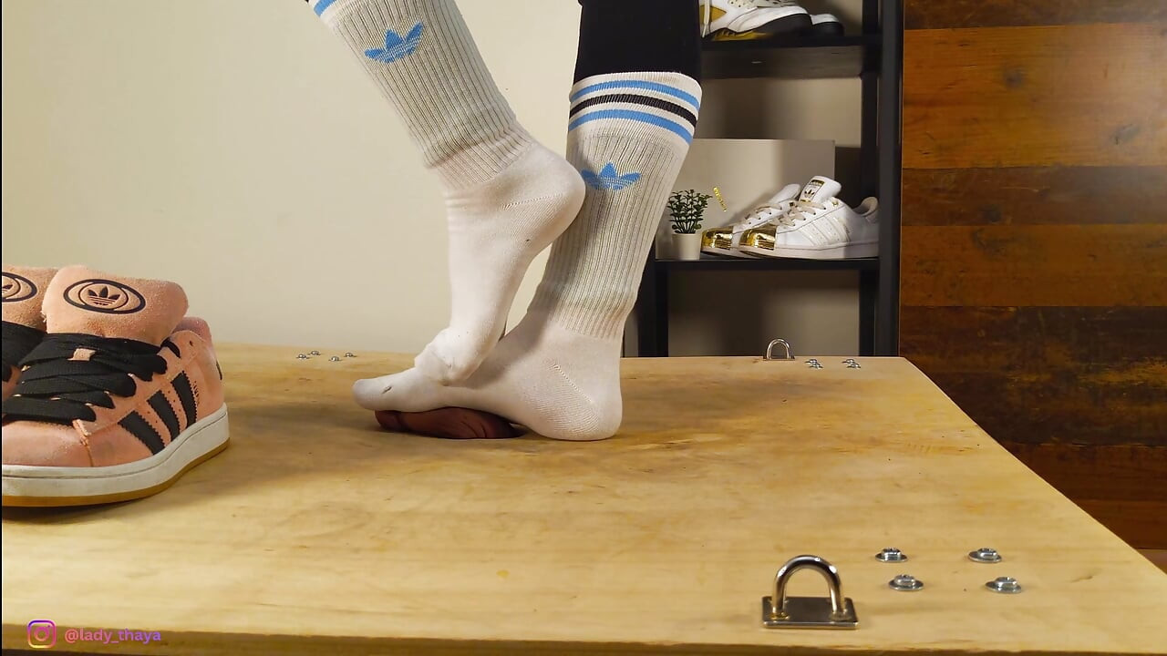 Adidas Campus Cock Trampling I Lady Thaya