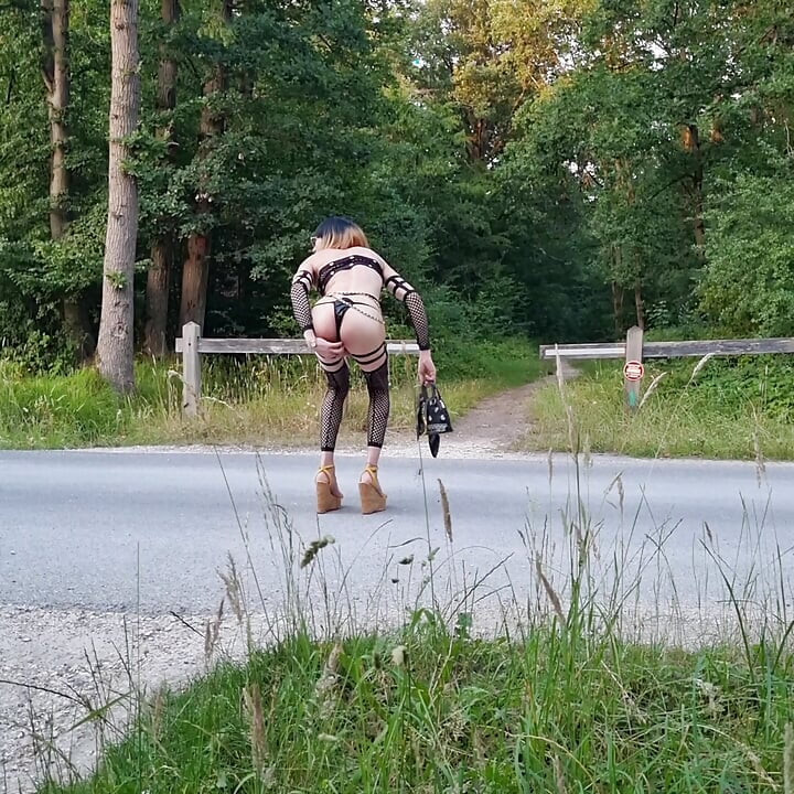 The Bee of La Faisanderie
