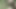 I was naked near the field and touched my cock