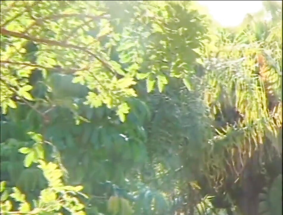 Cuplu tânăr sexy se fute în pizdă în pădure