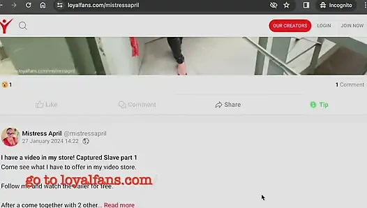 Dog Bruno Goes For Walkies Compilation Trailer