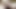 Fetter Papi spielt mit behaartem, unbeschnittenem Schwanz