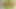 Amateur Home Strip - Green