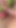 スイートペニス 2026:オーラルセックス |クリップ3