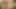 3 Same porn video – I Like Them Chunky 3