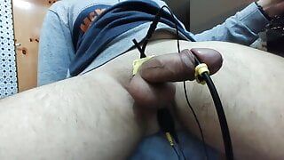 Electro cock estim-前立腺がほとんどの電子を得ると精液が流れる