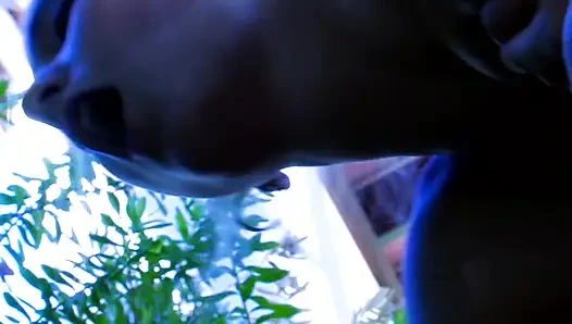 Babe in the backyard fucking hard