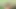 VR Bangers Group of horny babes seducing soccer coach VR Porn