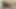 Nelly Ochoa the blonde busty trans Mexican with big round tits and a thick and juicy ass and cock in a bodystocking