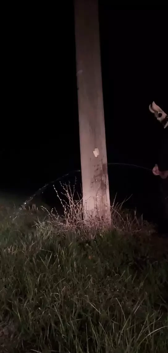 Demon having a long piss out in the open