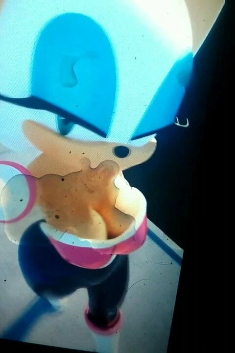 Rouge the Bat Cum Tribute SOP