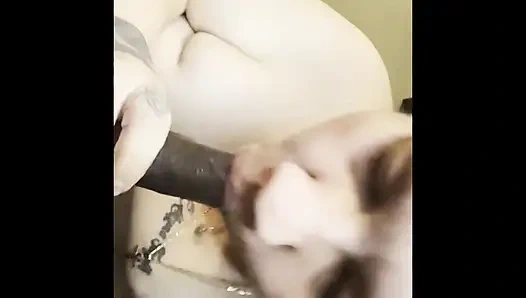 Bu büyük siyah yarağı ıslak amcığıma sokmadan önce yarak emiyor