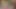 Doğal tombul orta yaşlı seksi kadın micha liz çıplak yoga için soyunuyor