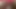 Pulsating clitoris orgasm closeup pov hairy pussy