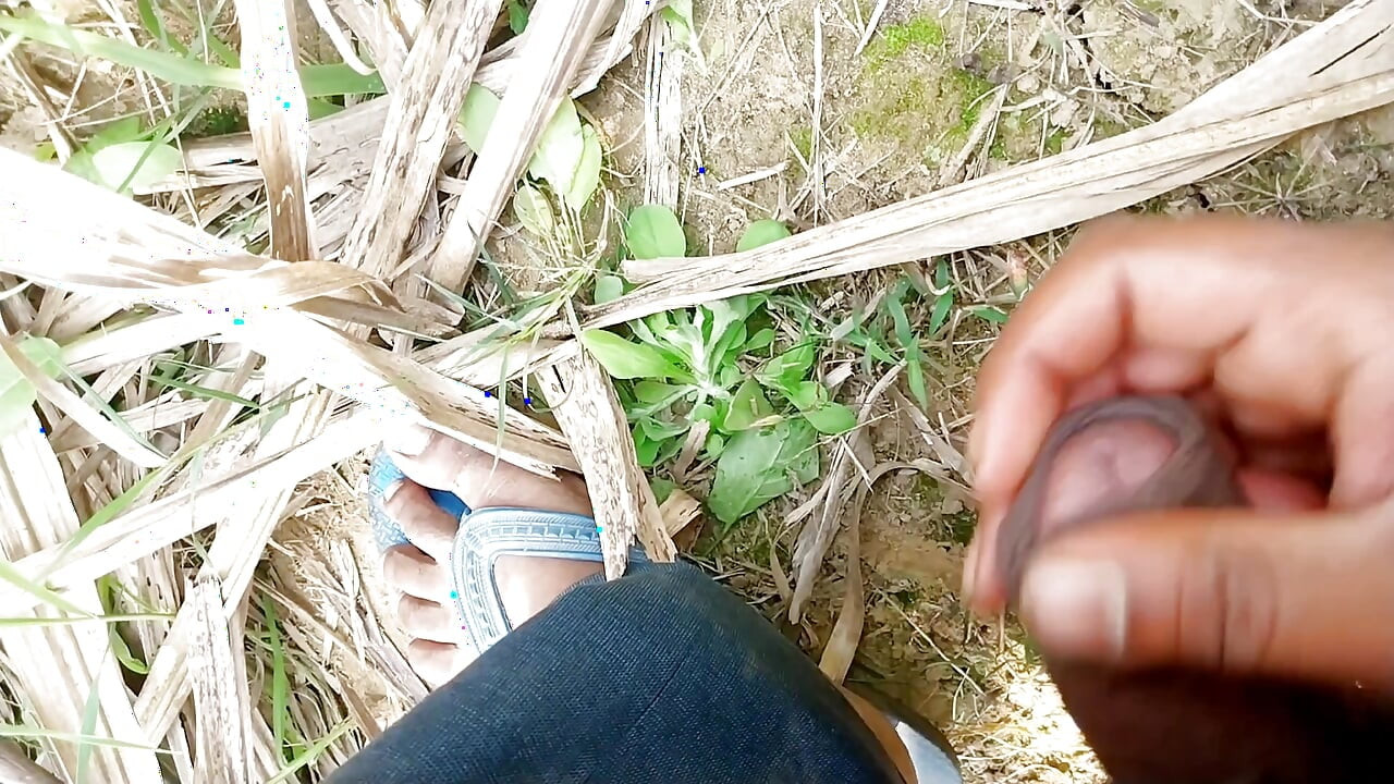 Wheat fields in mustard fields. Fuck my ass big cock vegiteble sex